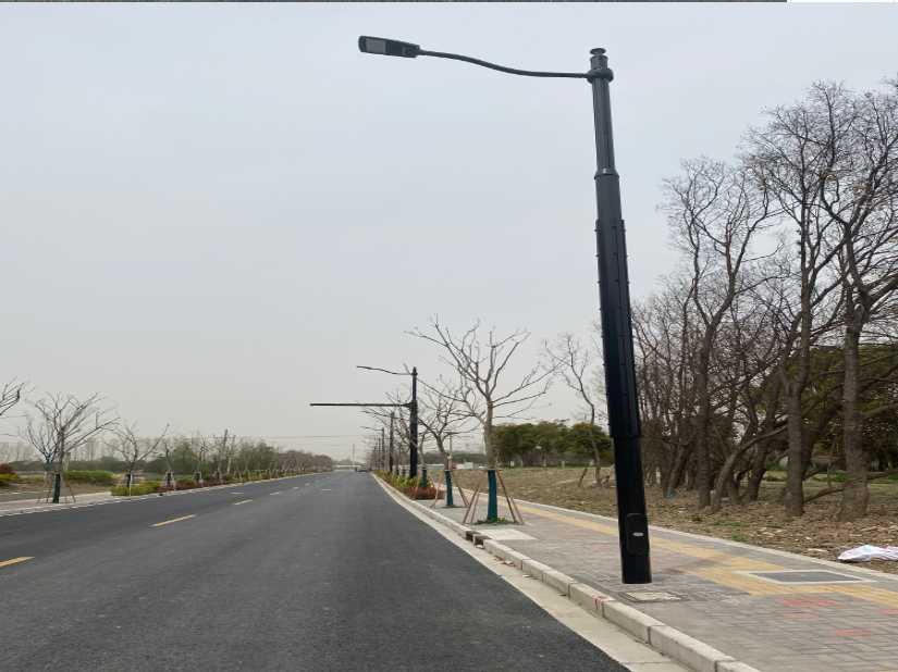 金凤区上海综合杆 太阳能路灯工程